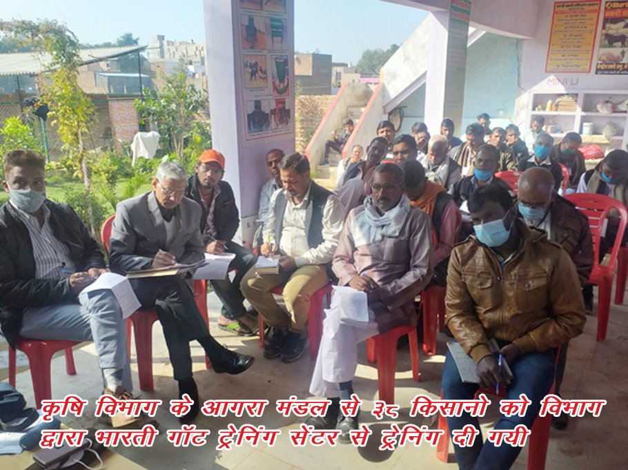 BHARTI GOAT TRANING FARAH, GOAT TRAINING IN MATHURA, GOAT FARMING IN MATHURA , GOAT TRANING IN CIRG , GOAT FARMING IN FARAH , GOAT FARM IN MATHURA UTTAR PRADESH